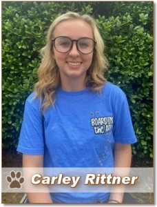 Carley Rittner